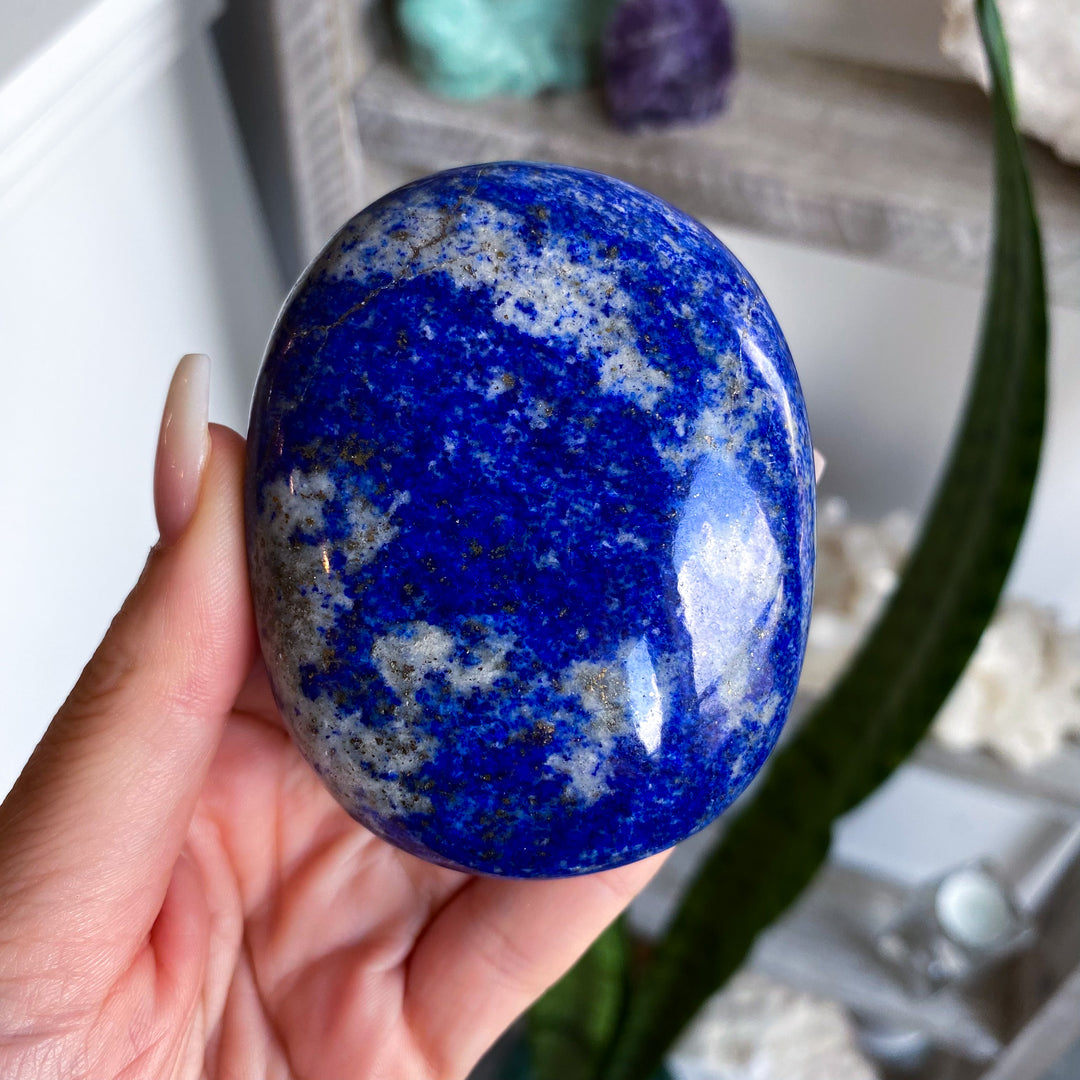 XL Deep Blue Lapis Palm 