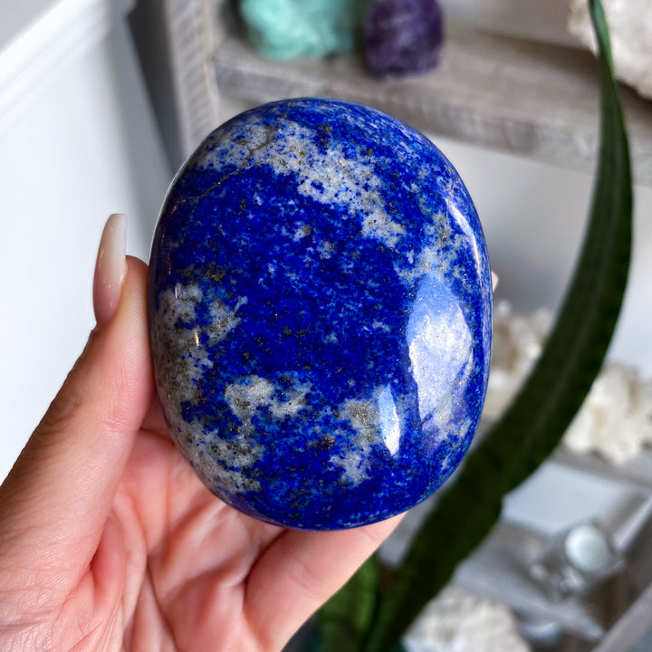 XL Deep Blue Lapis Palm 