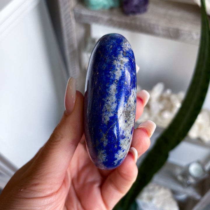 XL Deep Blue Lapis Palm 