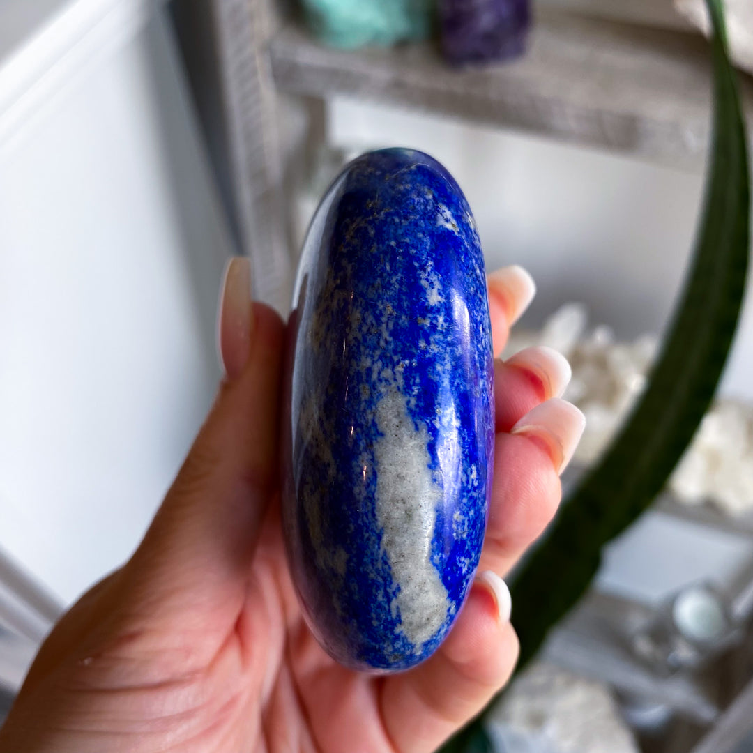 XL Deep Blue Lapis Palm 