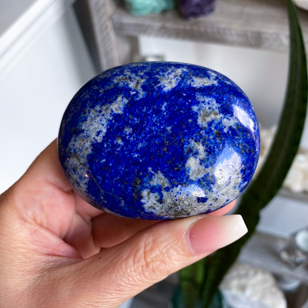 XL Deep Blue Lapis Palm 