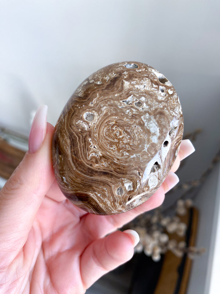 Chocolate Calcite Palm Stone