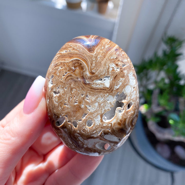 Chocolate Calcite Palm Stone