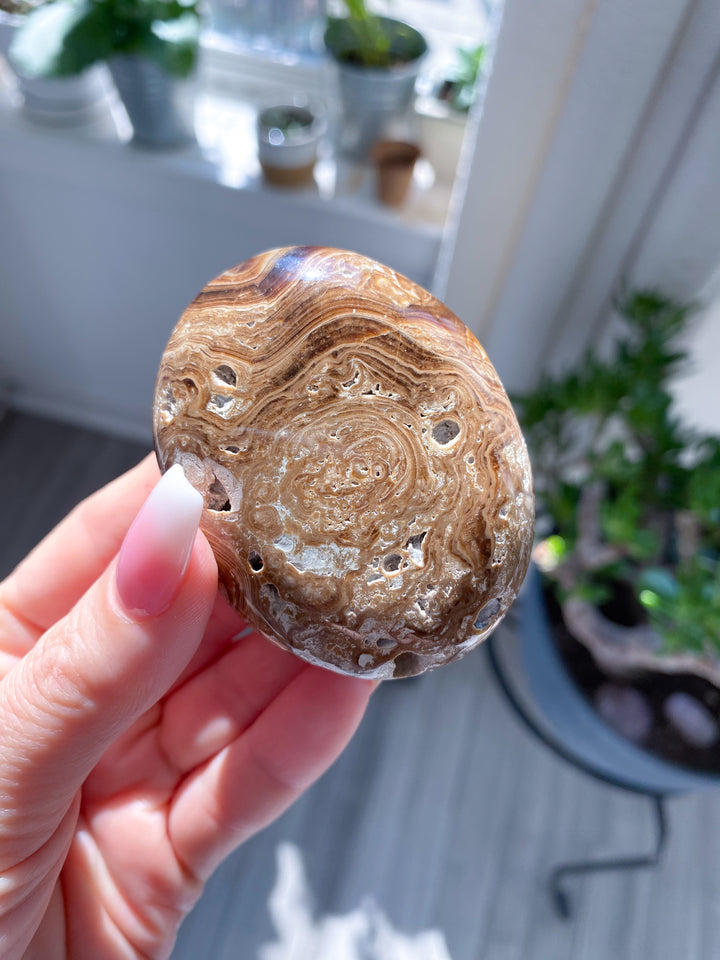 Chocolate Calcite Palm Stone