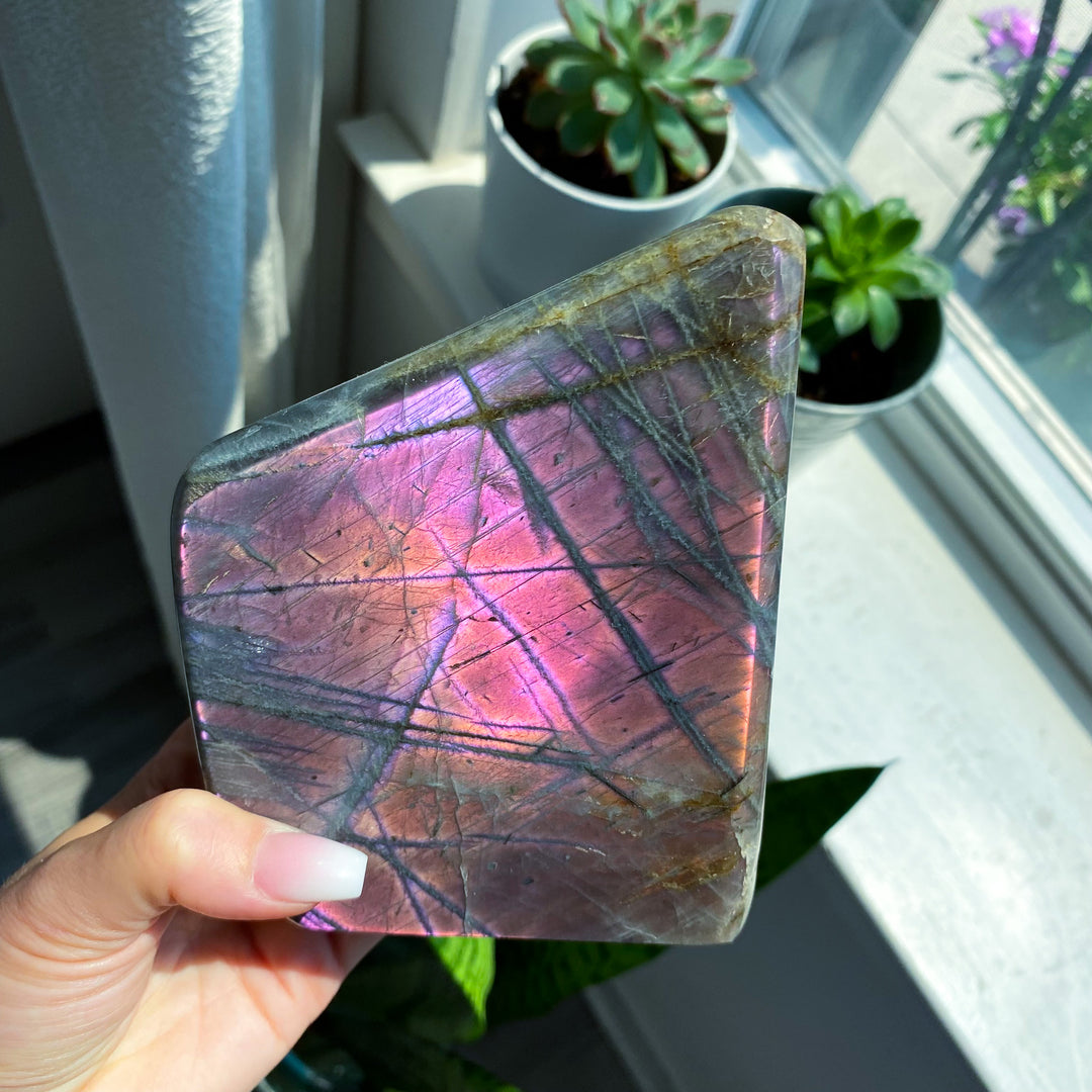 XL Sunset Labradorite Freeform