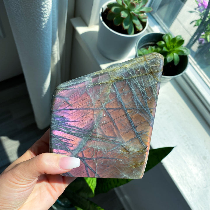 XL Sunset Labradorite Freeform