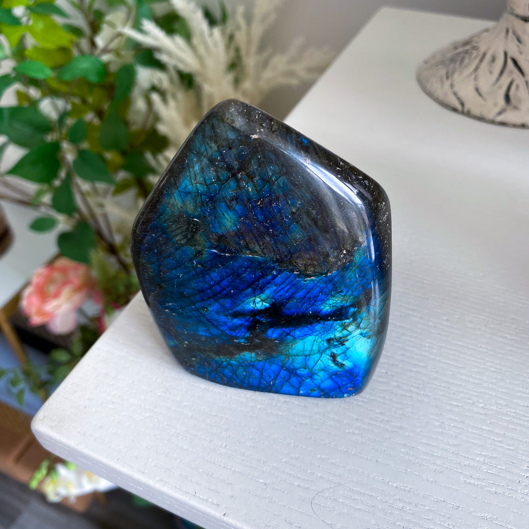 Electric Blue Labradorite Free Form 