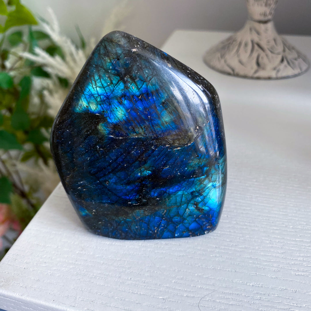 Electric Blue Labradorite Free Form 