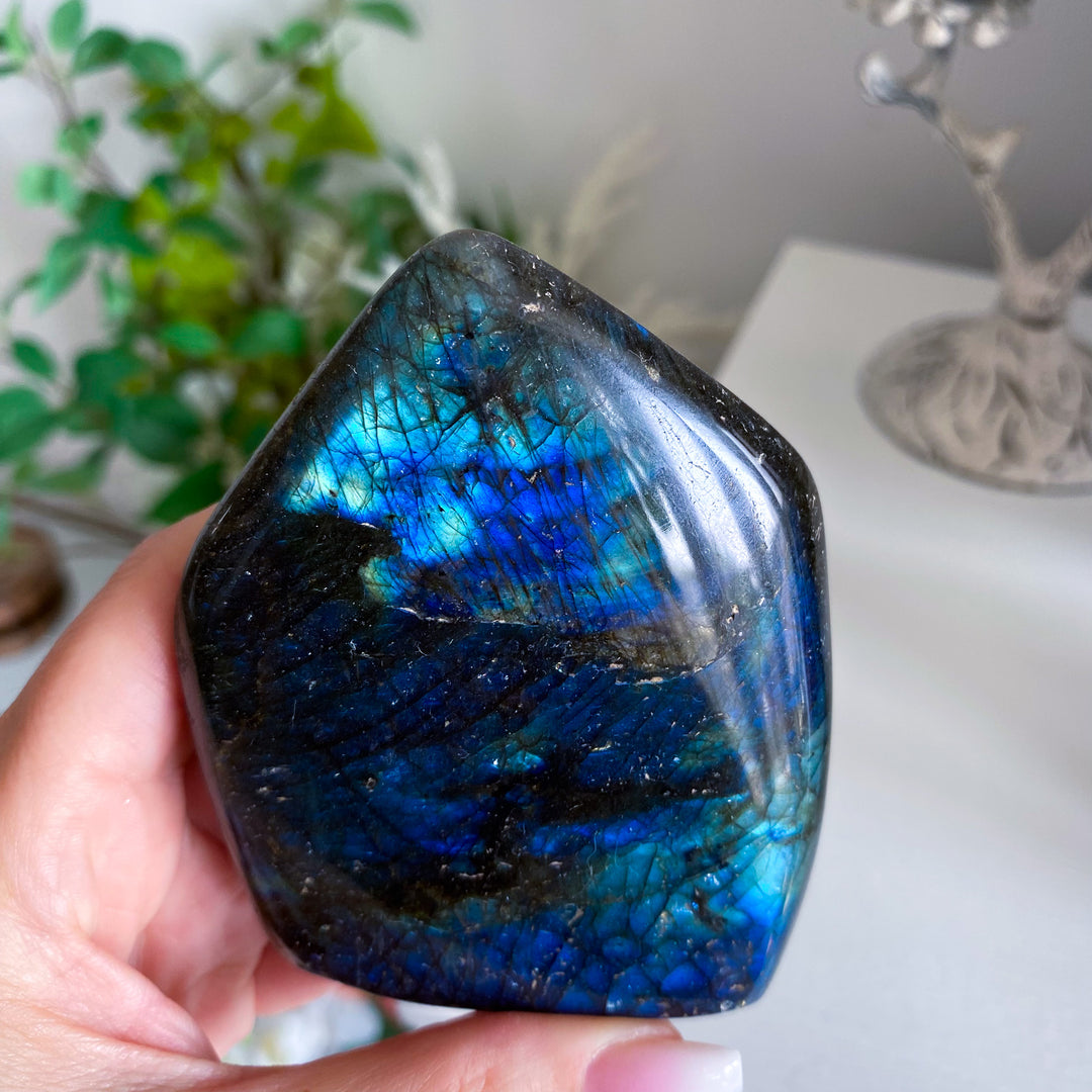 Electric Blue Labradorite Free Form 