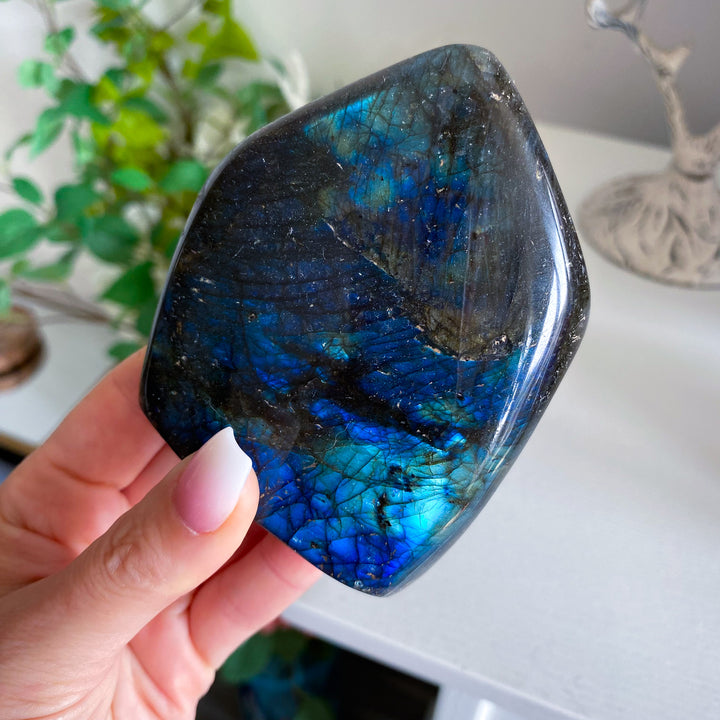 Electric Blue Labradorite Free Form 
