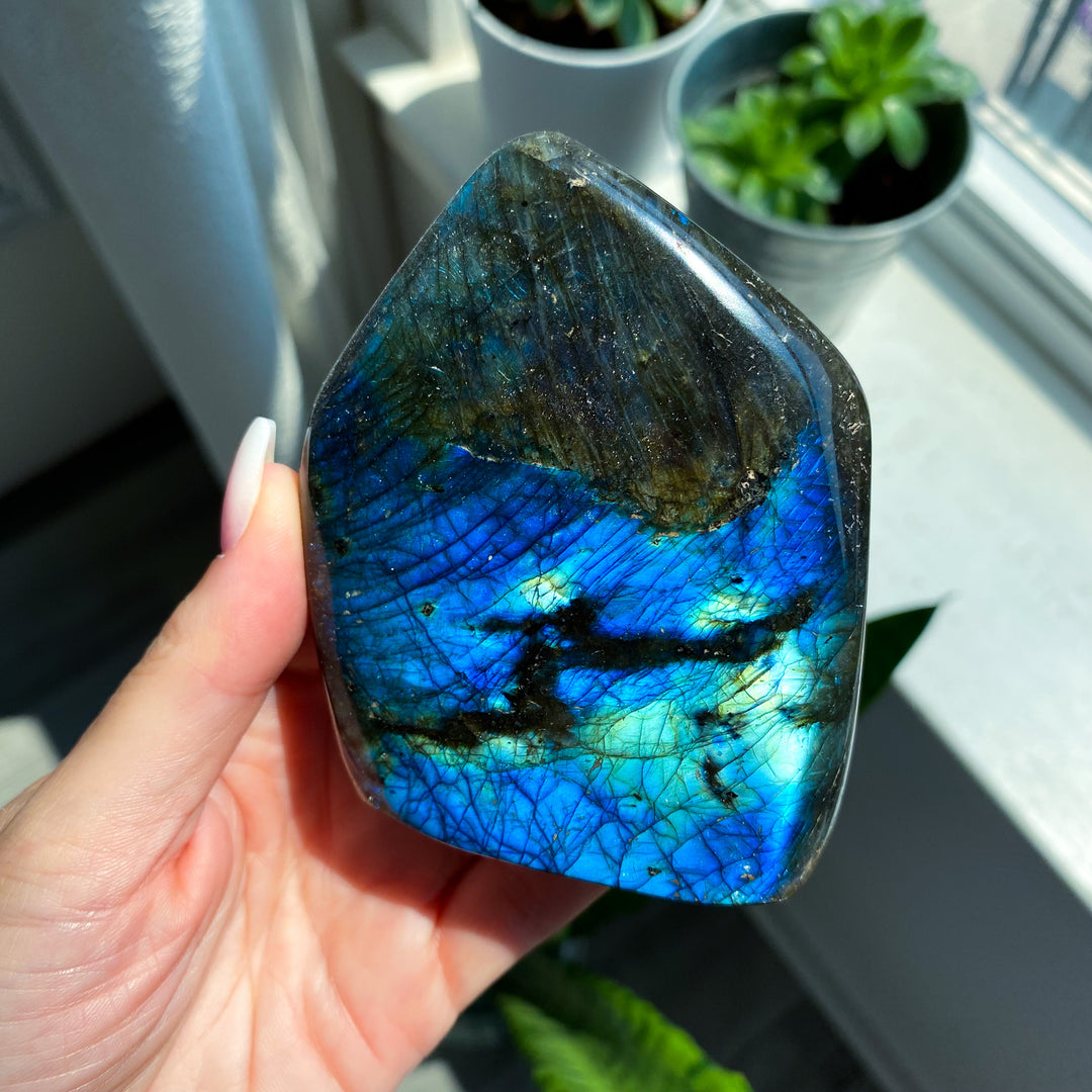 Electric Blue Labradorite Free Form 