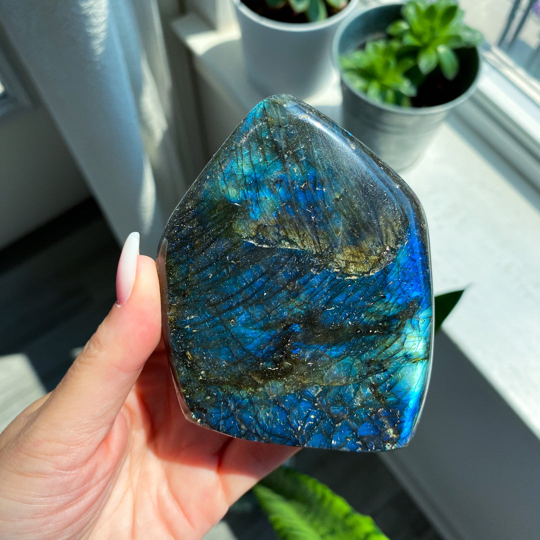Electric Blue Labradorite Free Form 