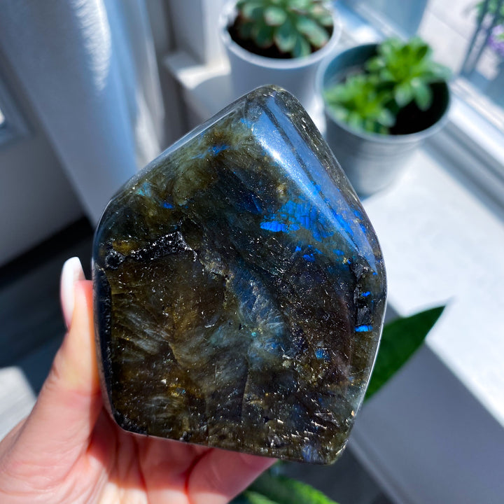 Electric Blue Labradorite Free Form 