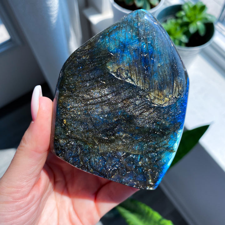 Electric Blue Labradorite Free Form 