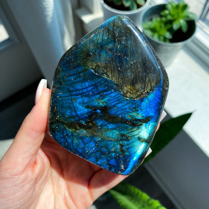 Electric Blue Labradorite Free Form 