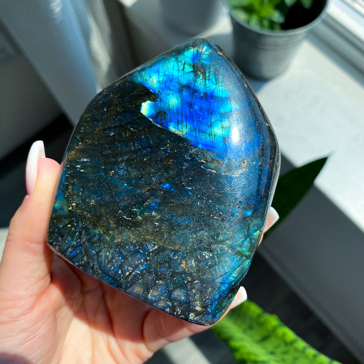 Electric Blue Labradorite Free Form 