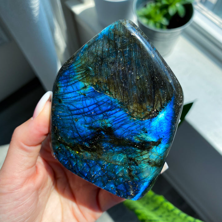 Electric Blue Labradorite Free Form 