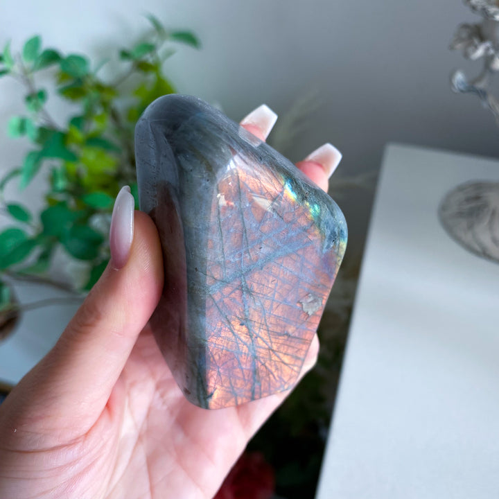 Sunset Labradorite Freeform 