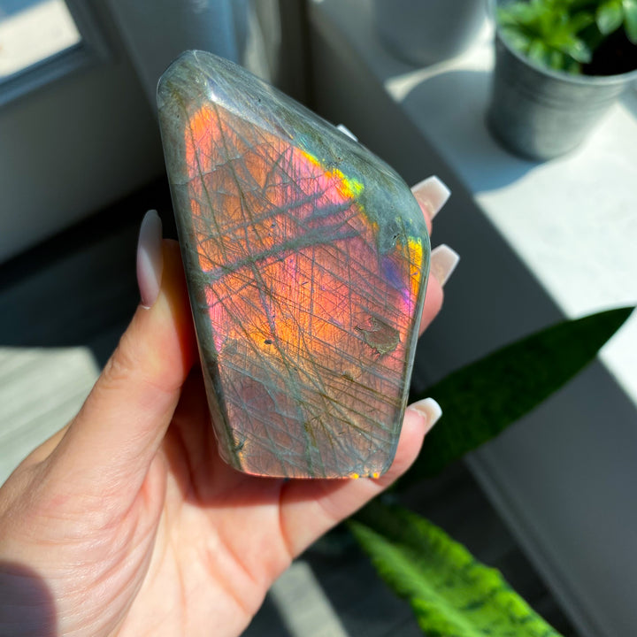 Sunset Labradorite Freeform 