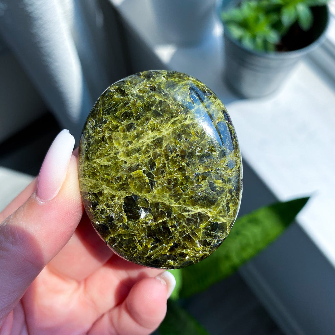 RARE: Green Tourmaline Palm Stone