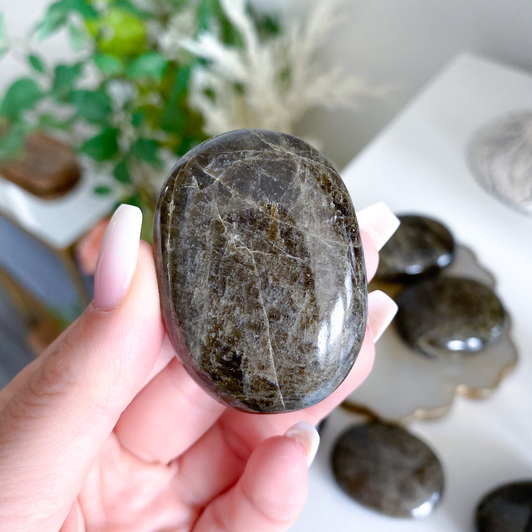 Rare: Dark Green Tourmaline Palm Stone