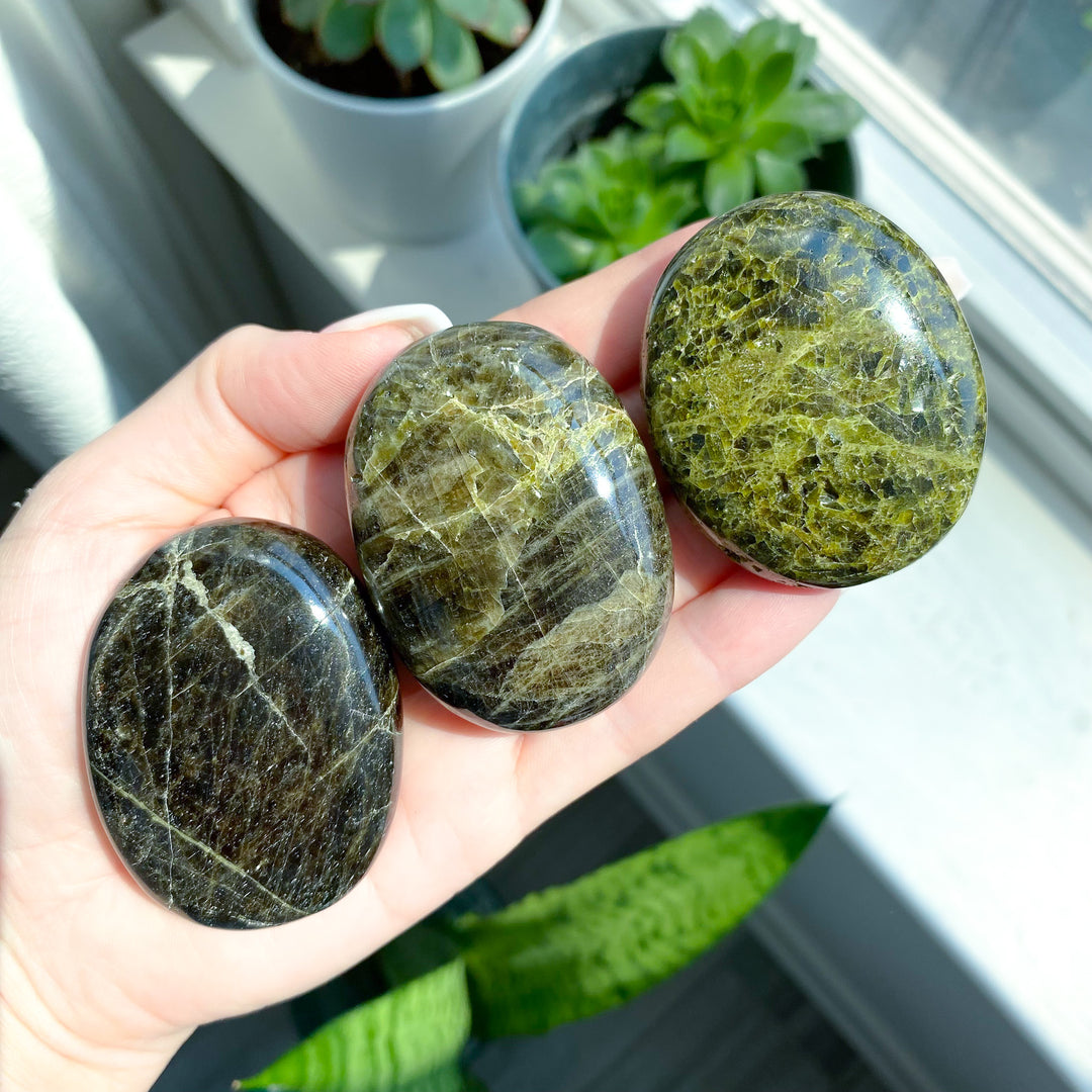 Rare: Dark Green Tourmaline Palm Stone