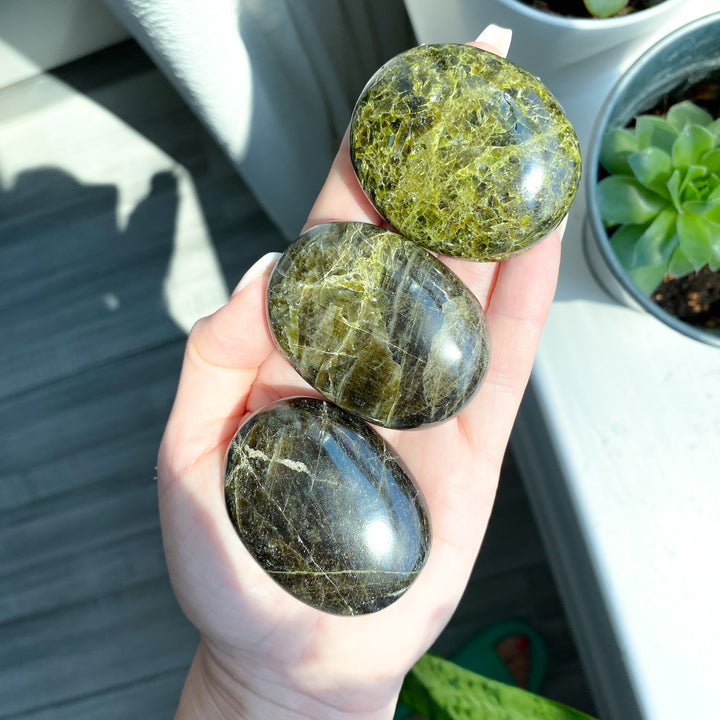Rare: Dark Green Tourmaline Palm Stone