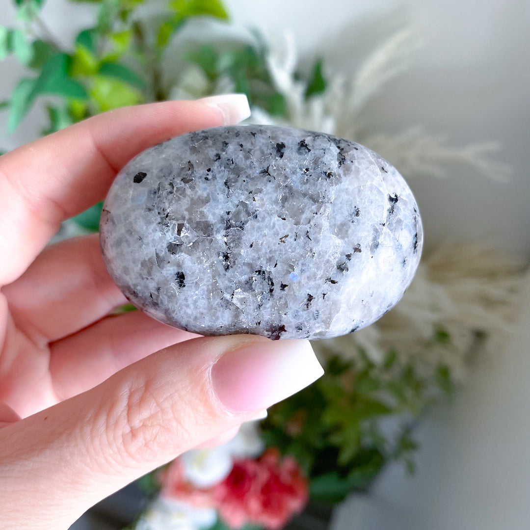 Rainbow Moonstone Palm 