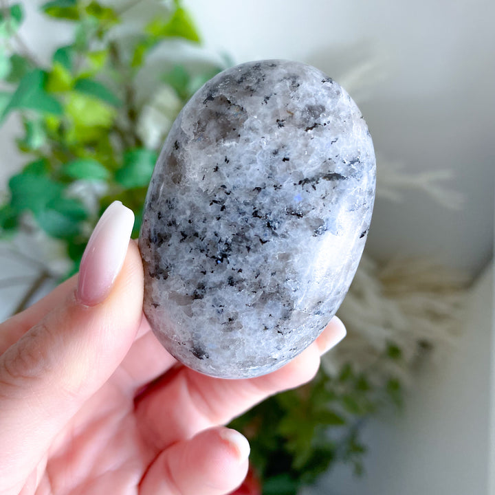 Rainbow Moonstone Palm 