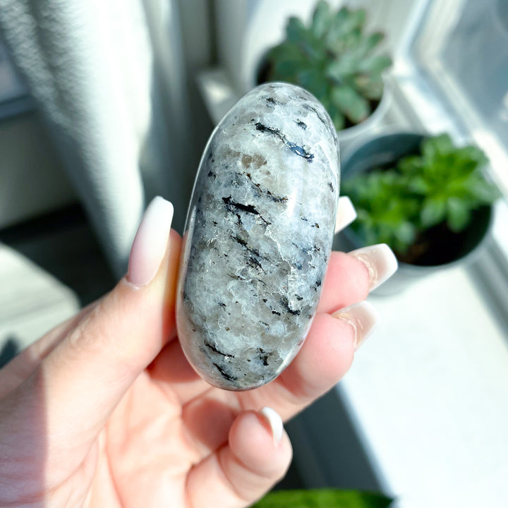 Rainbow Moonstone Palm 