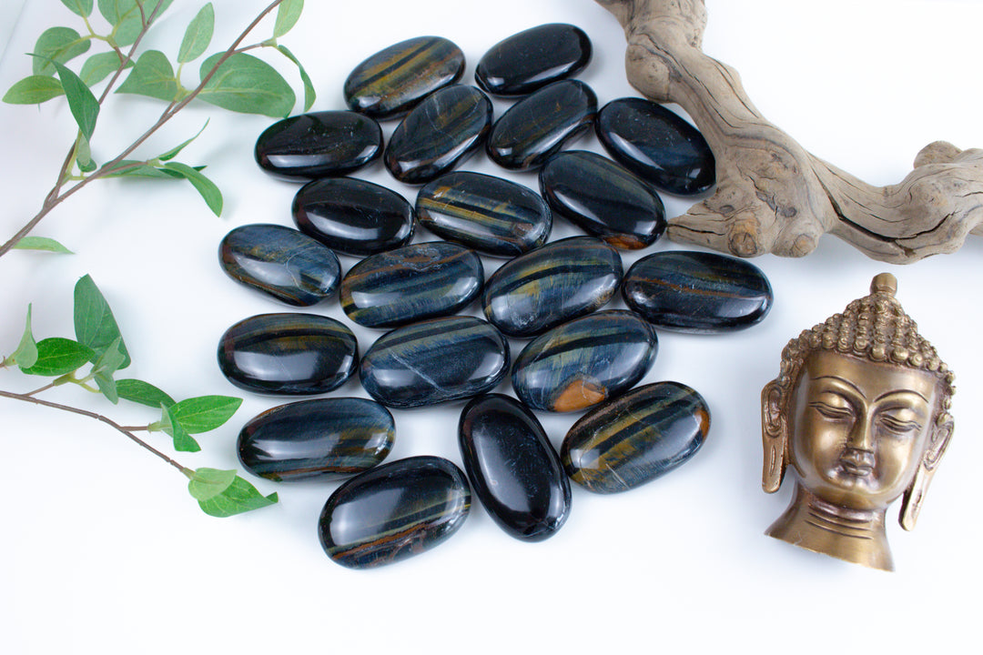 B Quality Blue Tiger Eye Palm