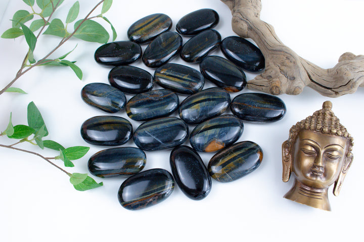 B Quality Blue Tiger Eye Palm