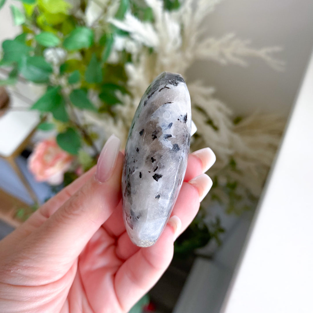 Flashy Rainbow Moonstone Palm 
