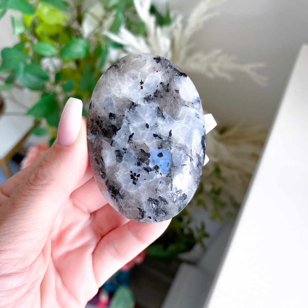 Flashy Rainbow Moonstone Palm 