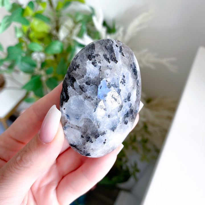Flashy Rainbow Moonstone Palm 