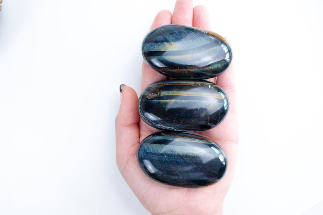 B Quality Blue Tiger Eye Palm