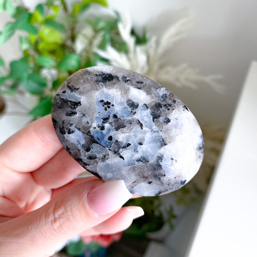 Flashy Rainbow Moonstone Palm 