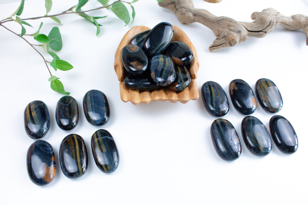 B Quality Blue Tiger Eye Palm