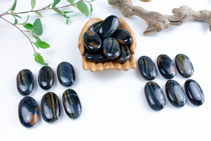 B Quality Blue Tiger Eye Palm