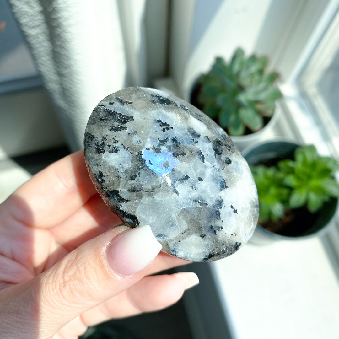 Flashy Rainbow Moonstone Palm 