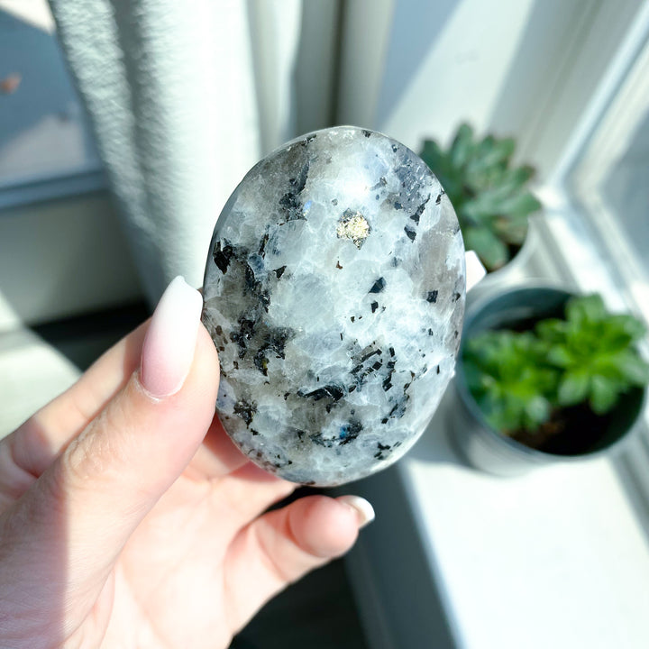Flashy Rainbow Moonstone Palm 