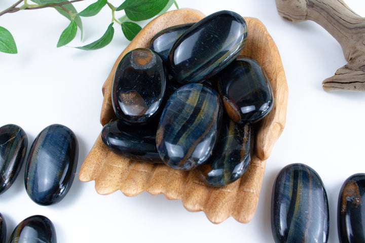 B Quality Blue Tiger Eye Palm