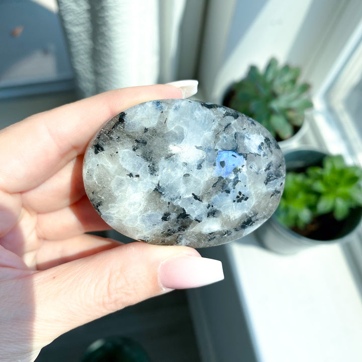 Flashy Rainbow Moonstone Palm 