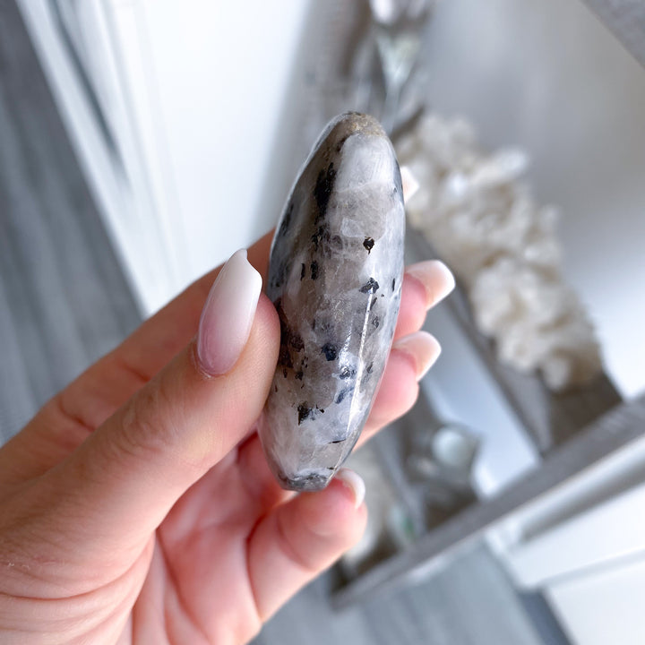 Flashy Rainbow Moonstone Palm 