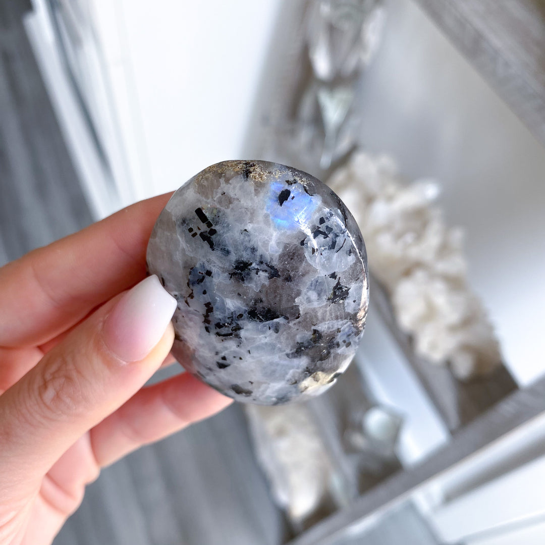 Flashy Rainbow Moonstone Palm 