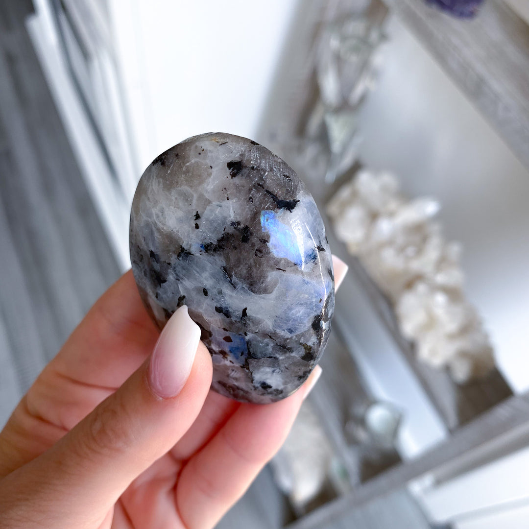 Flashy Rainbow Moonstone Palm 