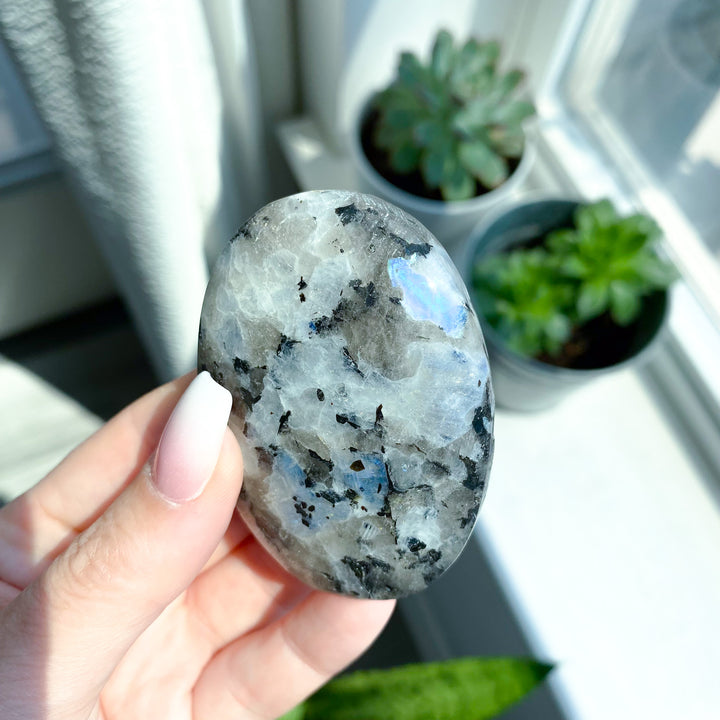 Flashy Rainbow Moonstone Palm 