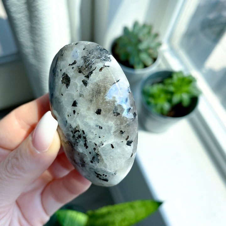 Flashy Rainbow Moonstone Palm 