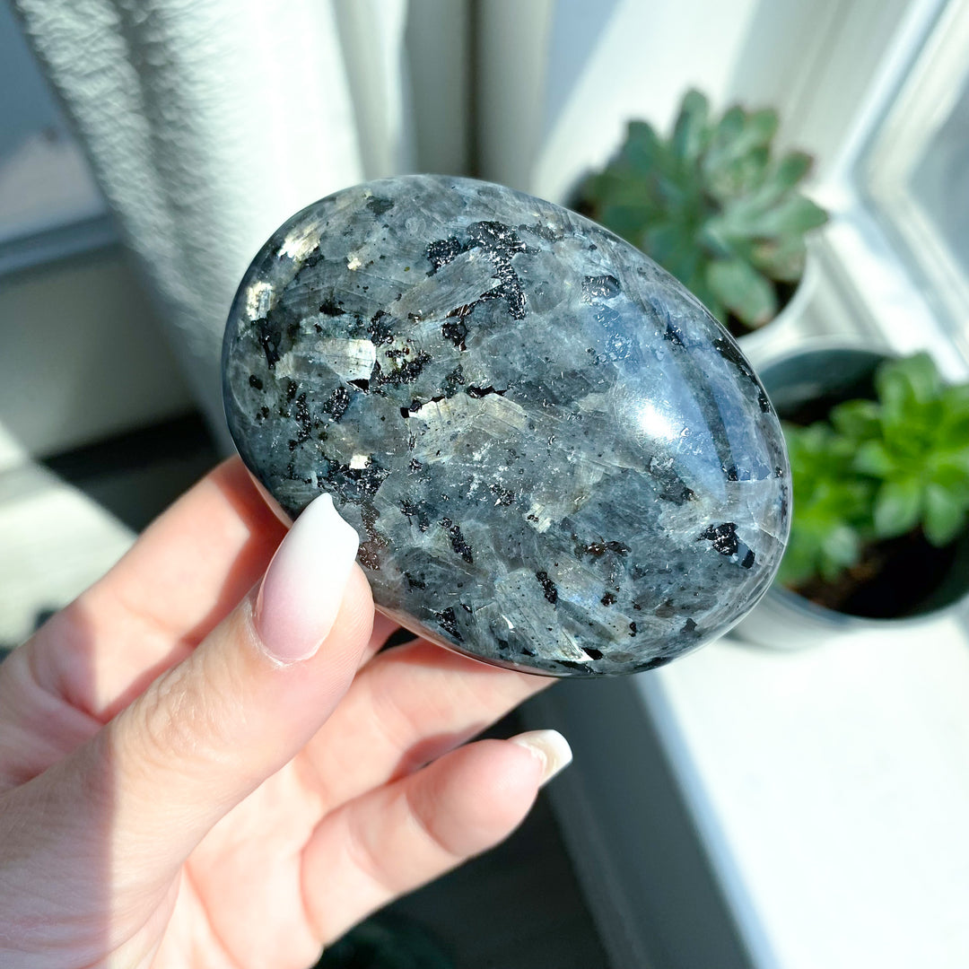 Large Flashy Larvikite Palm 