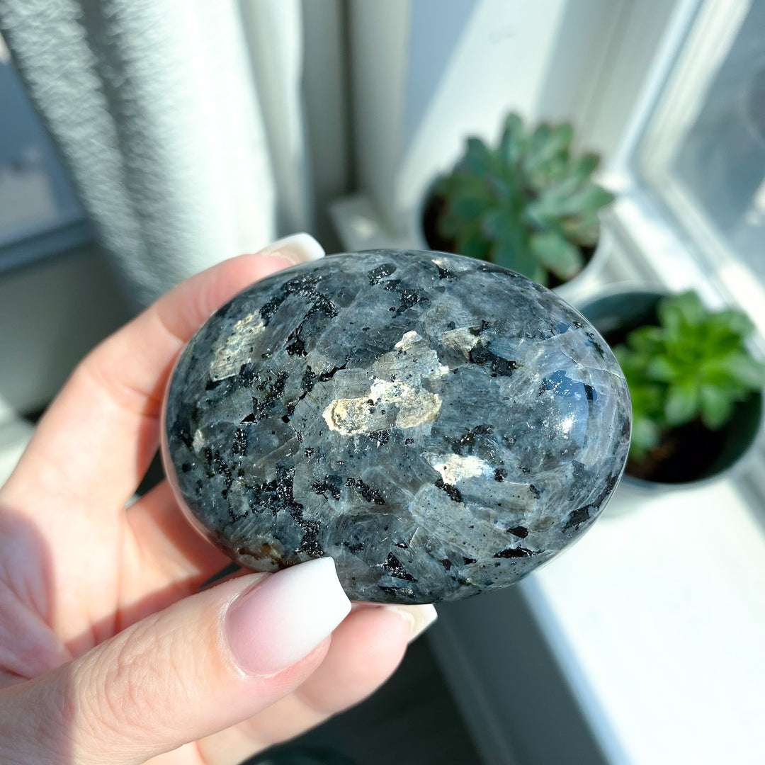 Large Flashy Larvikite Palm 
